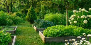 Lawn Garden Scape website