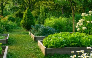 Lawn Garden Scape Website Introduction