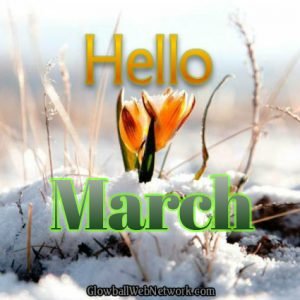 Activity Report for February 2019 1 Activity Report for February 2019 1