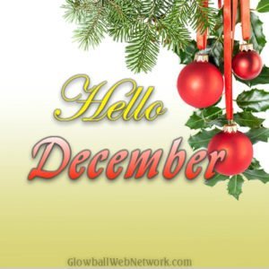 Activity Report for November 2019 1 activity report for November 2019